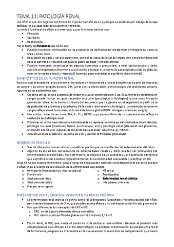 TEMA-11-ESPECIALES-renal.pdf