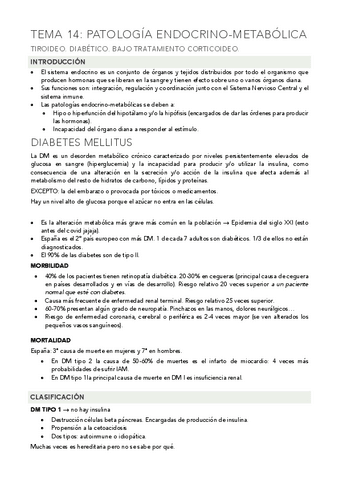 TEMA-14-ESPECIALES-ENDOCRINO.pdf