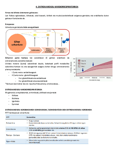 4.-Entrenamendu-kardiorrespiratorioa.pdf