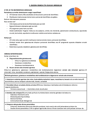 5.-Egoera-fisikoak-eta-osasun-arriskuak.pdf