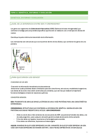 TEMA-4.pdf