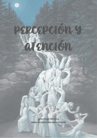 Apuntes-de-Percepcion-y-Atencion-2023-2024.pdf