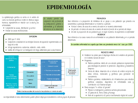 TEMA6RESUMEN.pdf