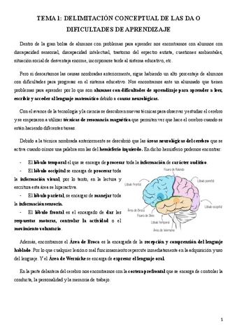 Tema-1-Delimitacion-Conceptual-de-las-DA.pdf