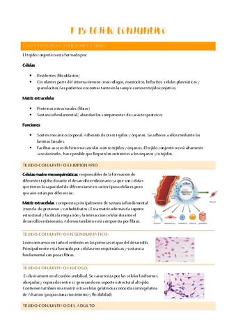 T-15-tejido-conectivo.pdf