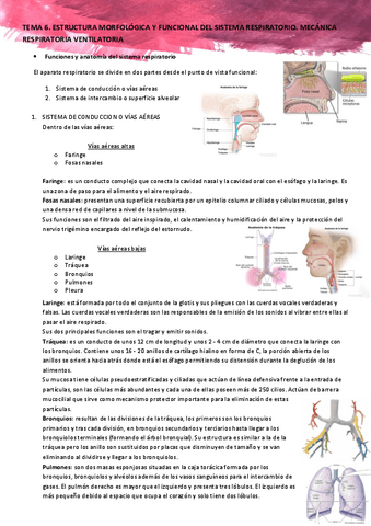 TEMA-6-Estructura-morfologica-Funcional-del-Sistema-Respiratorio.-Mecanica-ventilatoria.pdf
