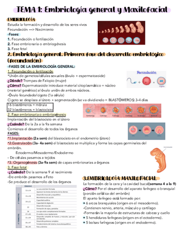 T.1-Estudio.pdf