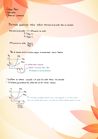 Microeconomia-Final.pdf