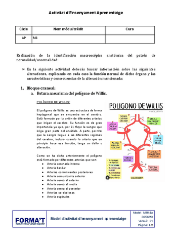 Ejercicio-fisiopatologia-y-patologia-por-bloques.pdf