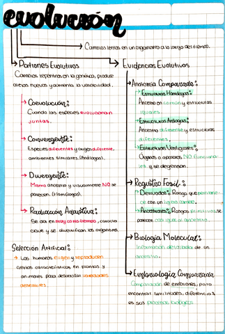 Evolucion.pdf