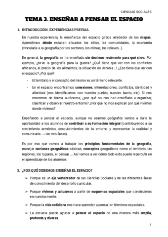 TEMA-3.-ESPACIO.pdf