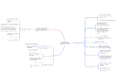 Mapa-Conceptual.pdf