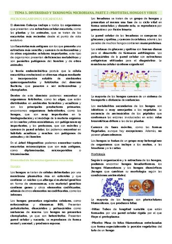 Tema 5 microbiología, Diversidad y taxonomía microbiana, parte 2: protistas, hongos y virus.pdf