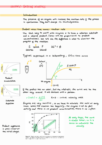 Lesson 2 Enzyme kinetics.pdf