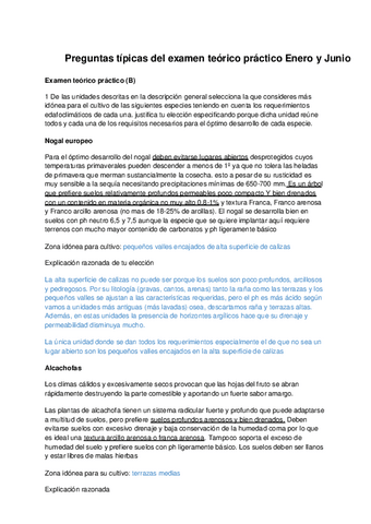 Preguntas-del-Teorico-practico-unido.pdf