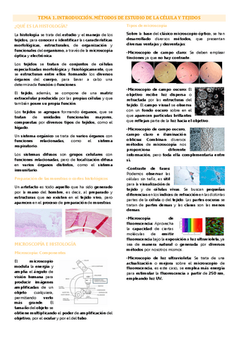 Tema 1 biología tisular, Introducción: microscopía y tinciones.pdf