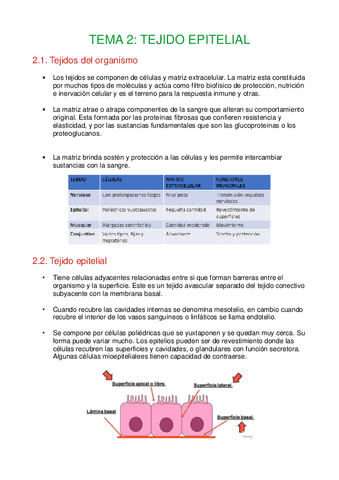 Tema-2-Tejido-epitelial.pdf