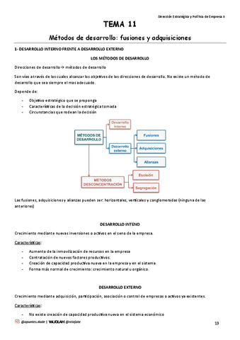 TEMA-11-Metodos-de-desarrollo-fusiones-y-adquisiciones.pdf