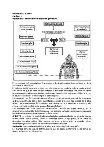 Delincuencia-Juvenil-cap-1.pdf