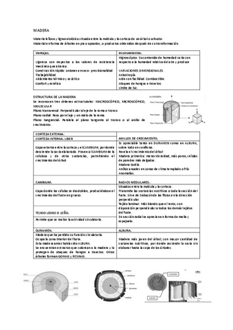 Tema-4.-Madera.pdf
