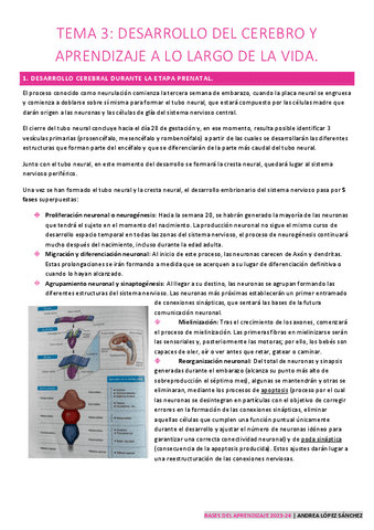 RESUMEN-TEMA-3-BA.pdf