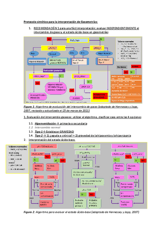 Protocolo-sintetico-para-la-interpretacion-de-Gasometrias.pdf