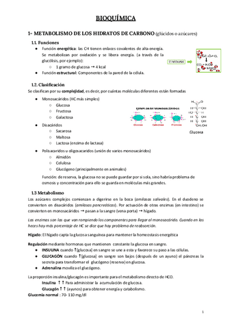 Bioquimica.pdf