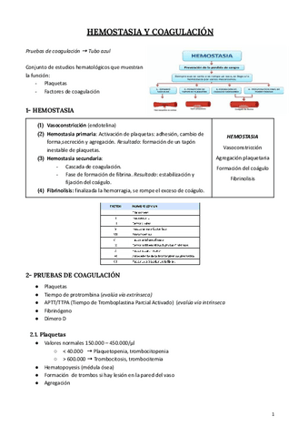 Hemostasia-y-coagulacion.pdf