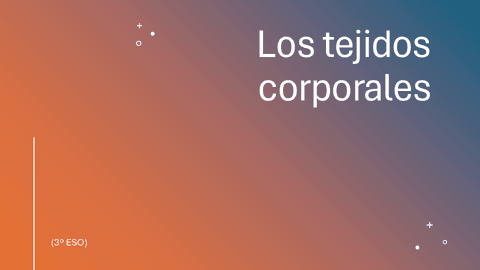 Los-tejidos-corporales.pdf