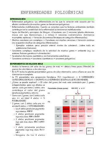 TEMA-3.pdf