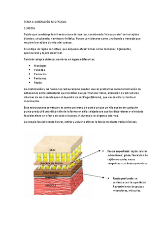 tema-6-liberacion-miofascial.pdf