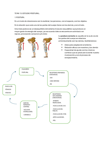 tema-13-estudio-postural.pdf