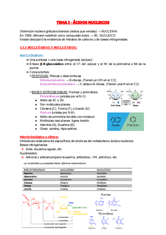 APUNTES-TEMA-2.pdf