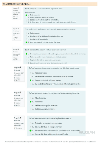 EXAMEN-JUNIO-PARCIAL-4.pdf