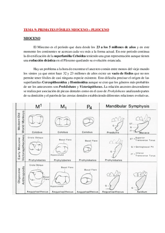 AP-ANTROPOLOGIA-TEMA-9-WH.pdf