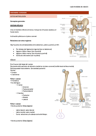 MMII-osteologia (ANATO II).pdf