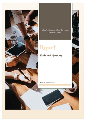 MartinezCamachoSilviaProject-Managing-Report.pdf