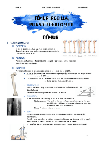 Tema-13-Femur-Rodilla-Pierna-Tobillo-y-Pie.pdf