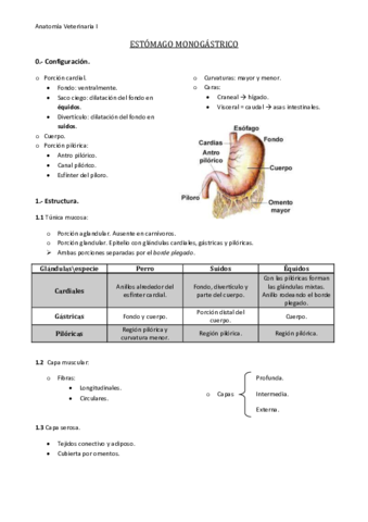 Estómago monogástrico.pdf
