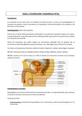 TEMA 1 fecundacion y desarrollo embrionario.pdf