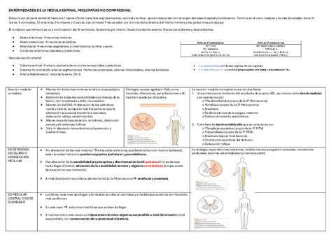 ENFERMEDADES-DE-LA-MEDULA-ESPINAL.pdf