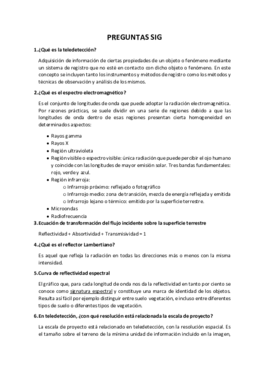 PREGUNTAS SIG (1).pdf