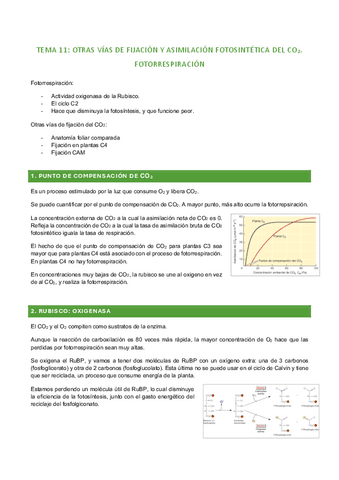 tema-11.pdf