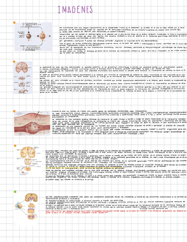 imagenes-tema-1-4.pdf