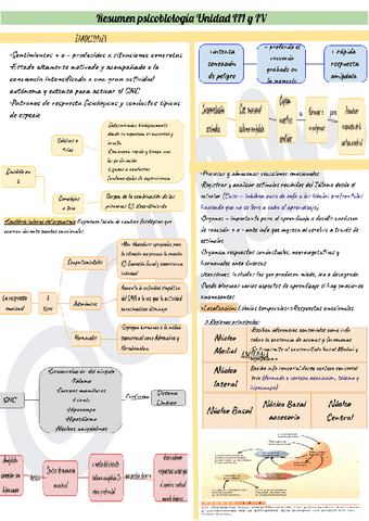 Resumen-psicobiologia-Unidad-III.pdf