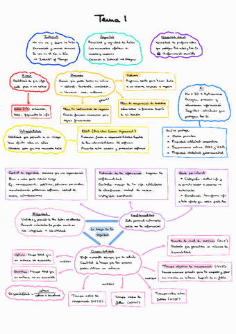 SRSI-Temas-1-2-y-3.pdf