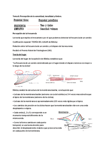 PERCEPCION-TEMA-6.pdf
