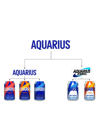 Aquarius.pdf