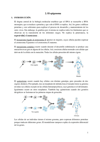 2.-El-epigenoma.pdf