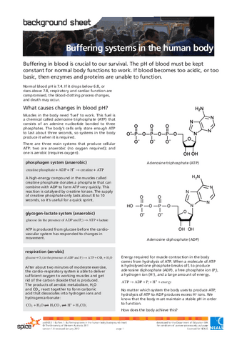 Buffering-systems-in-the-human-body.pdf